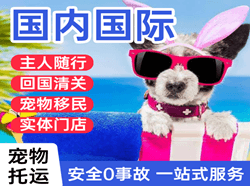 营口机场邮寄国际宠物托运 【国
